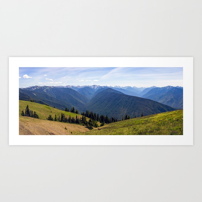 Hurricane Ridge Pano Art Print