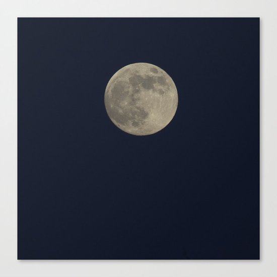 The lonely one. Canvas Print