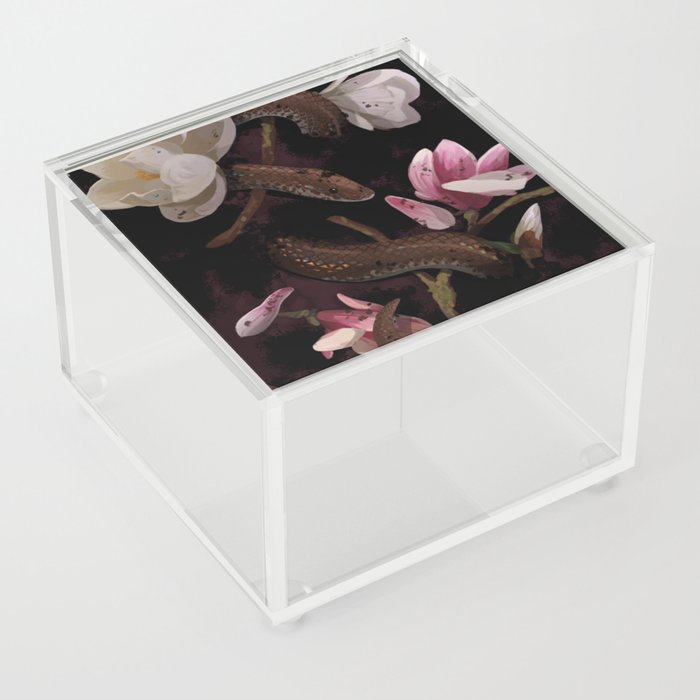 Sunbeam Magnolia Acrylic Box