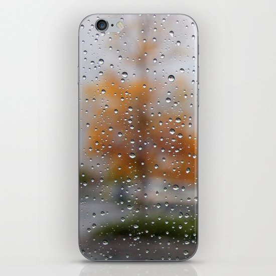 Fall iPhone & iPod Skin