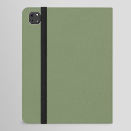 Swedish Clover iPad Folio Case