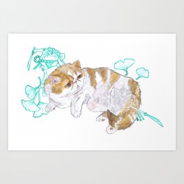 haunted exotic shorthair Art Print