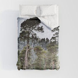 Scottish Highlands Pine Beauties Comforter
