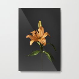 Orange lily Metal Print