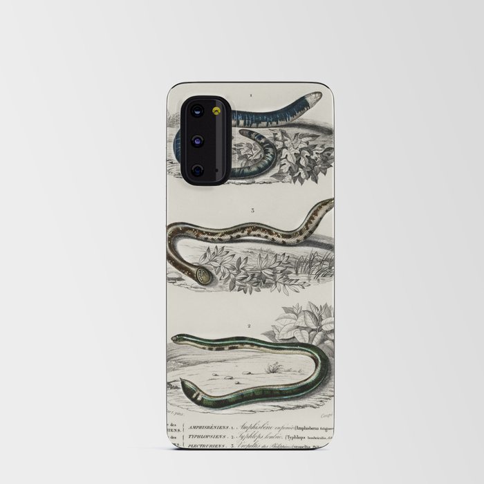 Spotted Worm Lizard, Blind Snakes, & Shield Tail Snakes Android Card Case