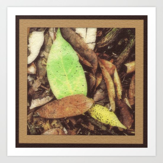 S. Florida Hammock Litter Art Print
