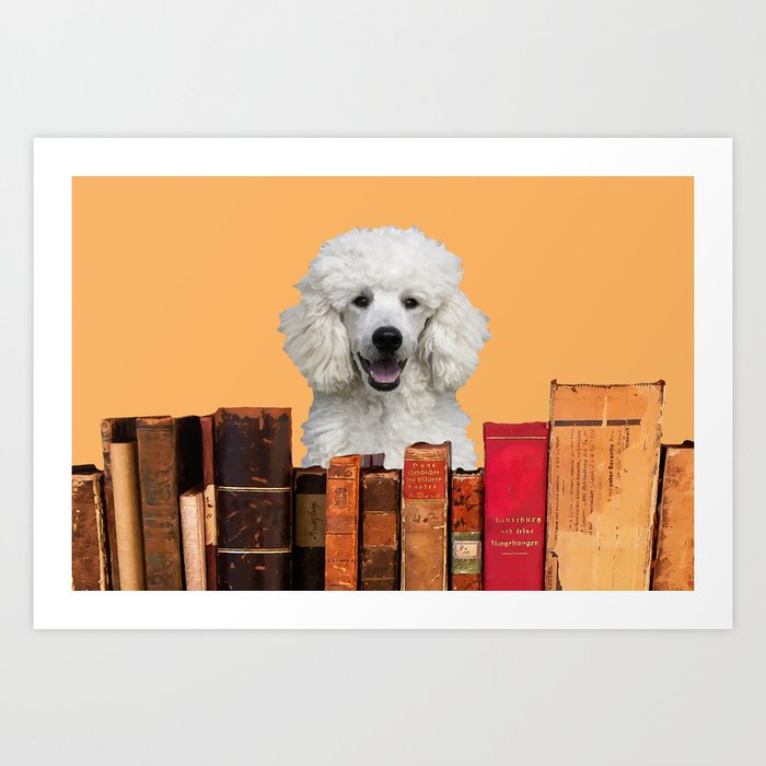 Poodle behind old Books #society6 #books Art Print