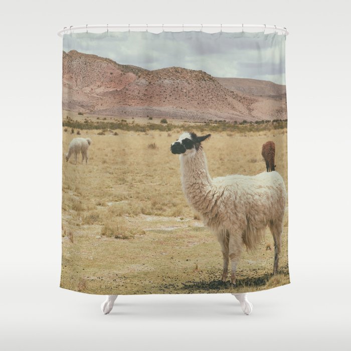 Lama Pampa bolivie Shower Curtain