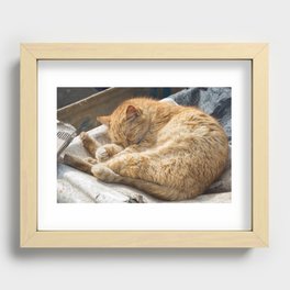Sleeping cat Morocco  Recessed Framed Print