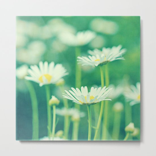 summer dreams Metal Print