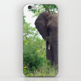 South Africa Photography - Elephant Walking Through The Forest iPhone Skin