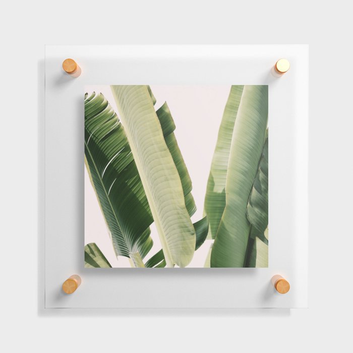 Banana Leaf #1 Floating Acrylic Print
