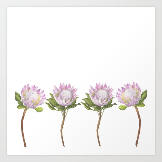 Beautiful Lotus Art Print