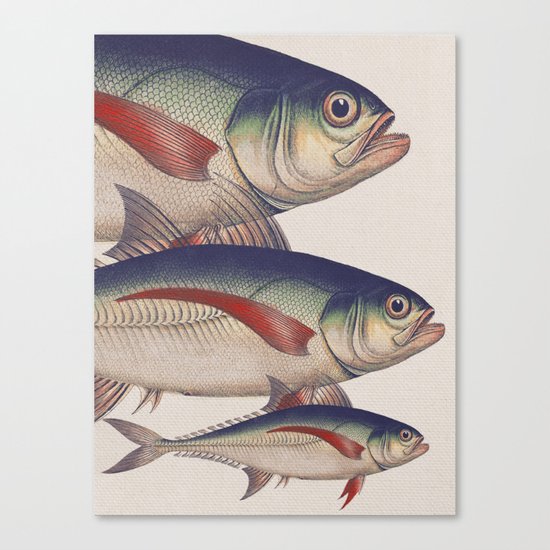 Fish Classic Designs 5 Canvas Print