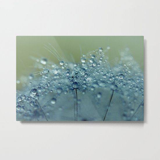 Dandelion Drops in Blue Metal Print