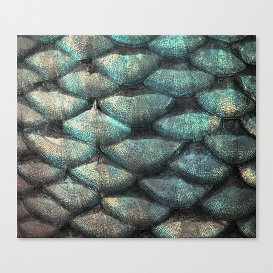 Aqua rose mermaid scales Canvas Print