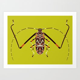 Harlequin Beetle Art Print