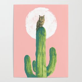 Quirky owl on saguaro cactus Poster