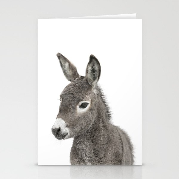 Baby Donkey Stationery Cards