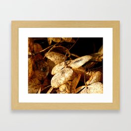 Autumn Hydrangea Framed Art Print