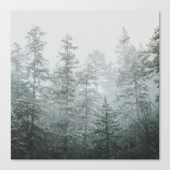 Deep Forest II Canvas Print