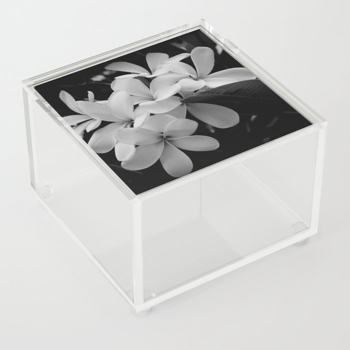 Solitude Acrylic Box