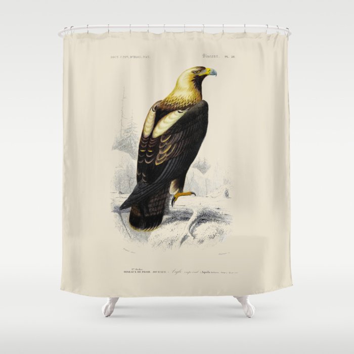 Vintage Golden Eagle Shower Curtain