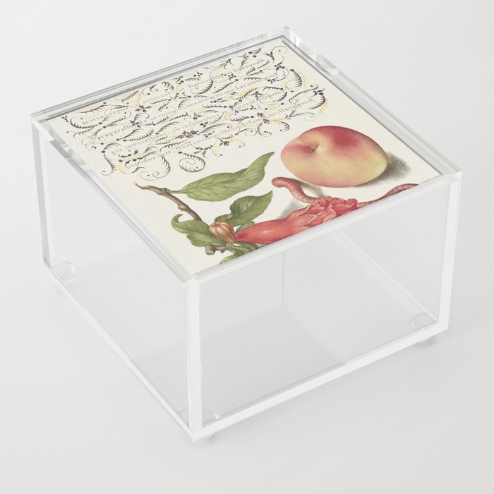 Vintage calligraphic art with flowers and peach Acrylic Box