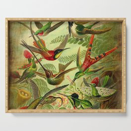 HUMMINGBIRD COLLAGE- Ernst Haeckel Serving Tray