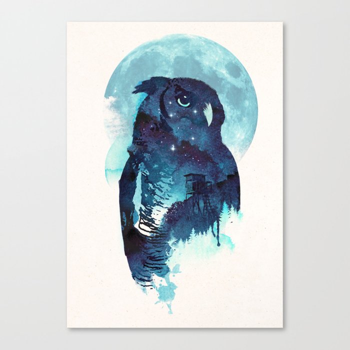 Midnight Owl Canvas Print