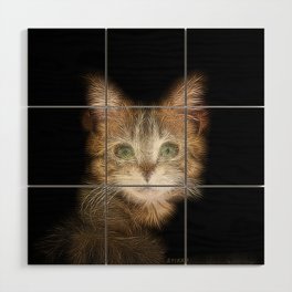 Spiked Brown Kitten  Wood Wall Art