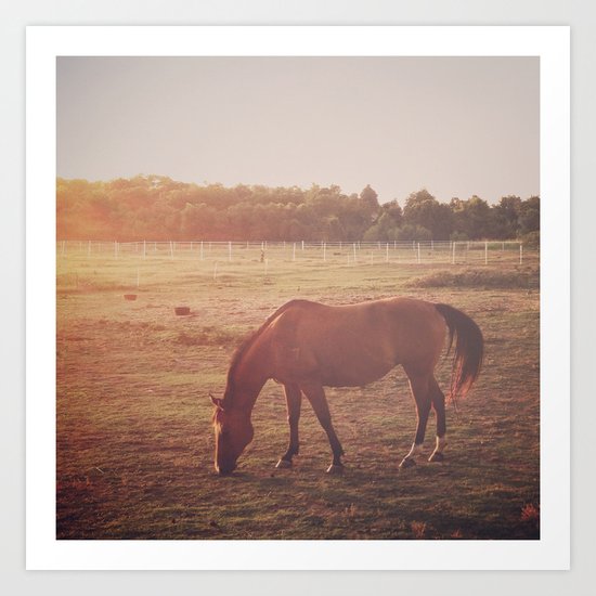 Horse (#7) Art Print