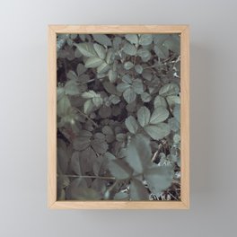 Flora // Focus Framed Mini Art Print