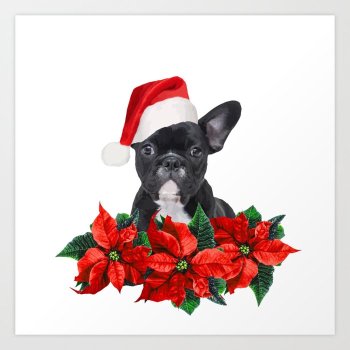 French Bulldog - Poinsettia Christmas Flowers Art Print