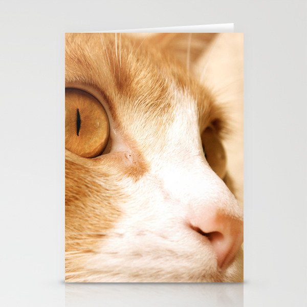 My cat Stationery Cards