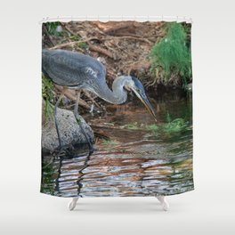 Great Blue Heron Fishing - III Shower Curtain