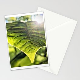 Magnolia Leaf Nature Photography | Botanical | Plants Art Print Stationery Card