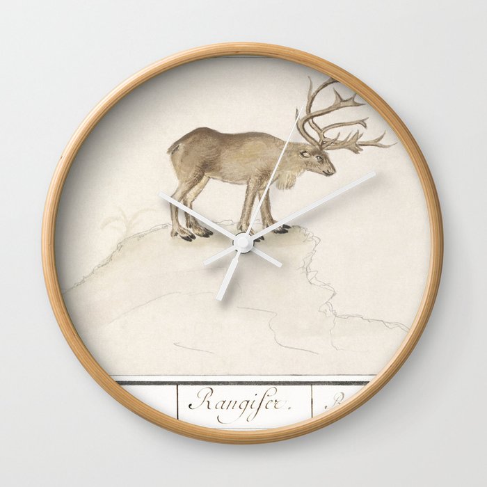 Reindeer, Rangifer tarandus  Wall Clock