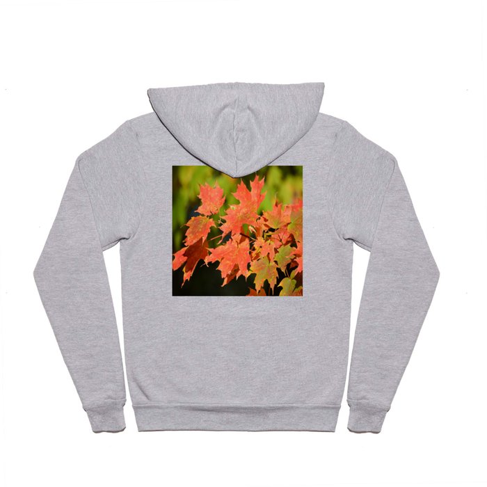 Fall Autumn Maple Leaves Red Orange Autumnal Colors Hoody
