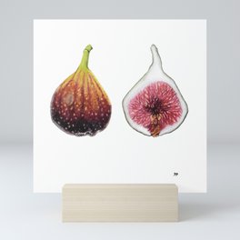 Fig Botanical Art Mini Art Print