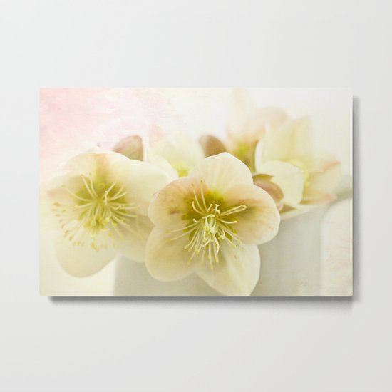 Hellebores in blue jug Metal Print