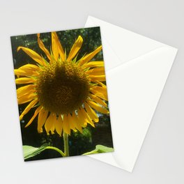 Sunny Summer Days  Stationery Cards