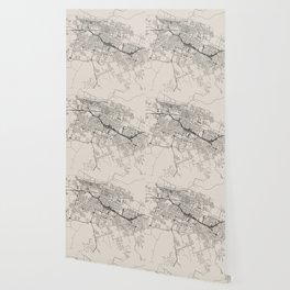 Texal, Killeen - city map - black and white Wallpaper