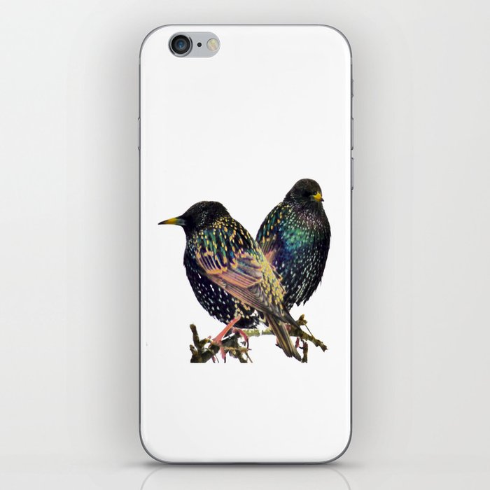Two Winter Starlings Perching on a Branch in I Art iPhone Skin