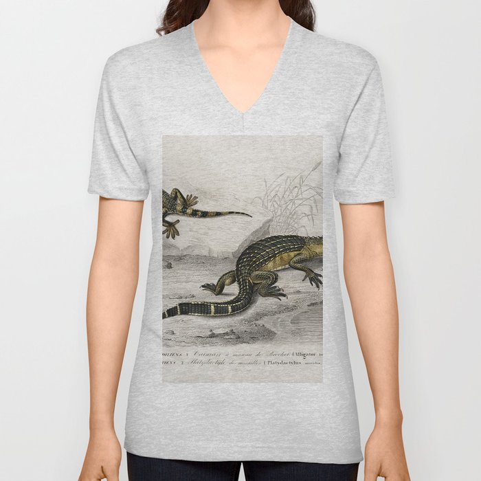 Alligator & Lilford'swall lizard  V Neck T Shirt