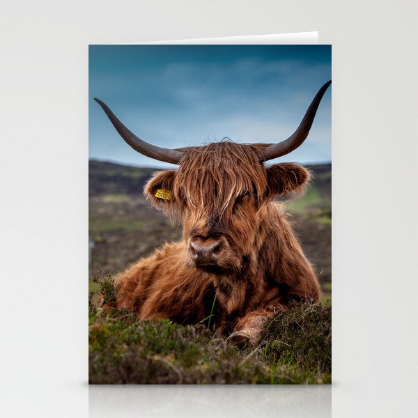 Beef Nature Stationery Cards