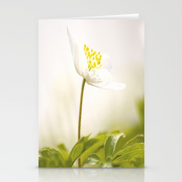 Wood Anemone Blooming in Forest #decor #society6 #buyart Stationery Cards