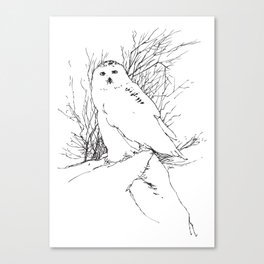 Snow Owl - M Canvas Print
