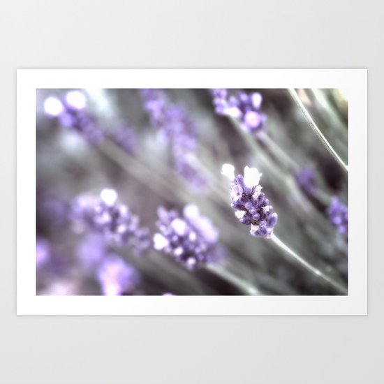 Purple shades of gray Art Print