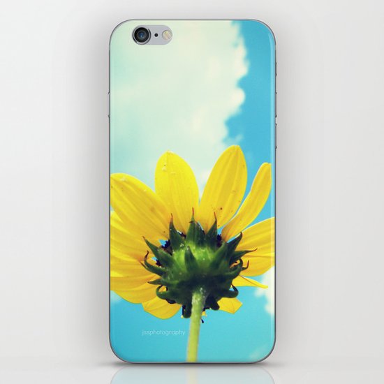 simple iPhone & iPod Skin